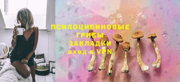 героин Алексин