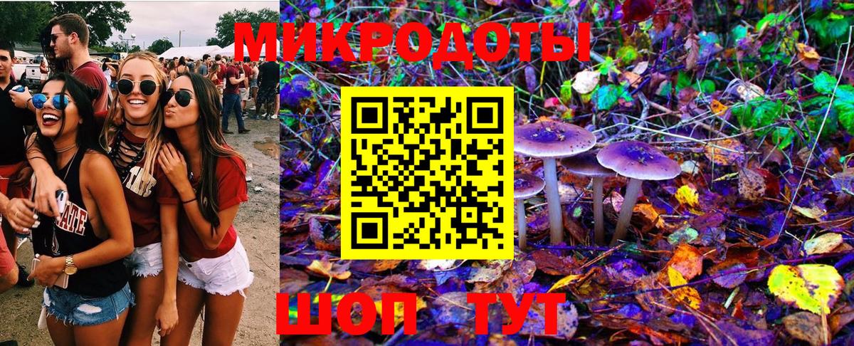 Узловая  Галлюциногенные грибы MAGIC MUSHROOMS  Вход с VPN 