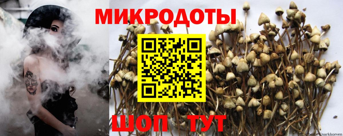 Галлюциногенные грибы мухоморы Узловая